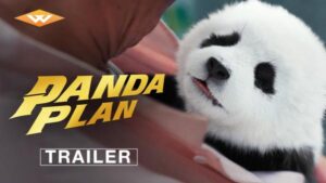Panda Plan (2024) – Hollywood