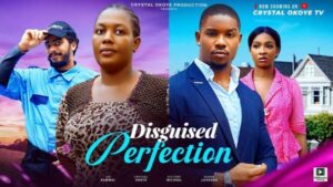 Disguised Perfection (2025) – Nollywood