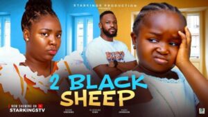 Two Black Sheep (2025) – Nollywood
