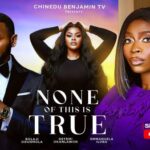 None of This Is True (2026)