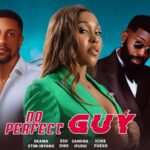 No Perfect Guy (2026)