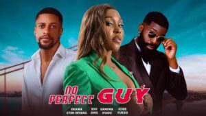 No Perfect Guy (2026) – Nollywood