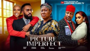 Picture Imperfect (2026) – Nollywood