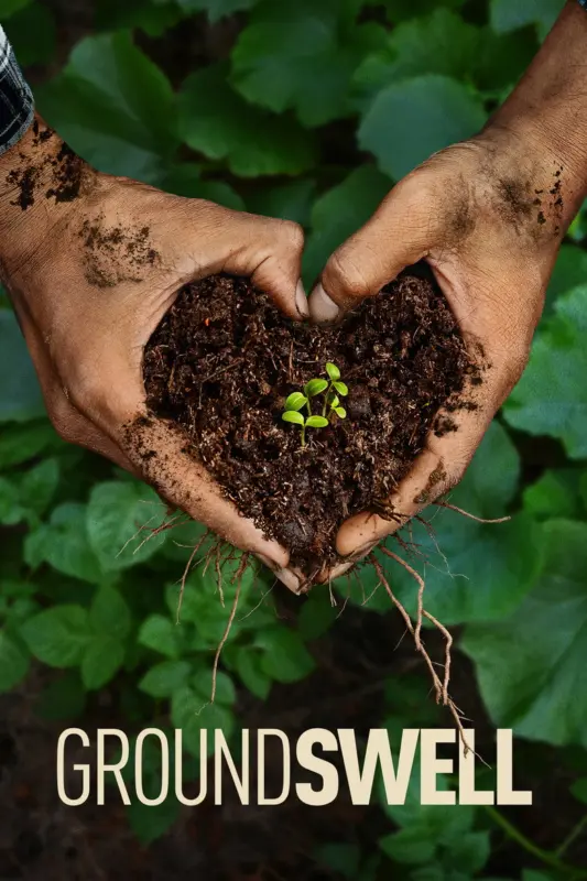 Groundswell (2026) – Hollywood